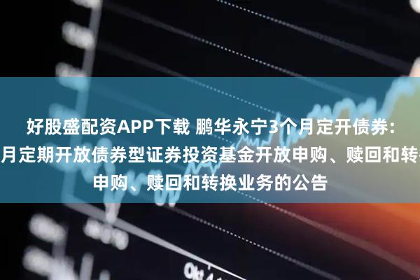 好股盛配资APP下载 鹏华永宁3个月定开债券: 鹏华永宁3个月定期开放债券型证券投资基金开放申购、赎回和转换业务的公告