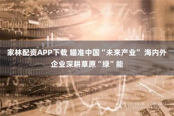 家林配资APP下载 瞄准中国“未来产业” 海内外企业深耕草原“绿”能