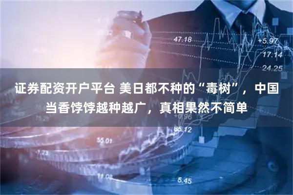 证券配资开户平台 美日都不种的“毒树”，中国当香饽饽越种越广，真相果然不简单